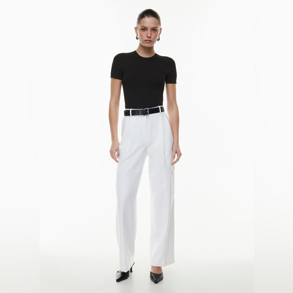 Aritzia Babaton Spotlight Cargo Pant